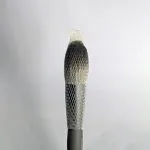 Alix Avien Powder Brush-1pc - Image 3