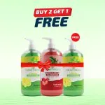 Nature Beauty Handwash (Buy 2 Get 1 Free) 370ml