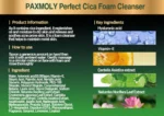 Pax Moly Perfect Cica Foam Cleanser 100ml SD - Image 4