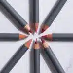 Alix Avien Lipliner