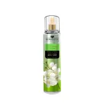 Romantic Collection Dream Lover Perfumed Body Mist 250ml