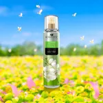 Romantic Collection Dream Lover Perfumed Body Mist 250ml - Image 2