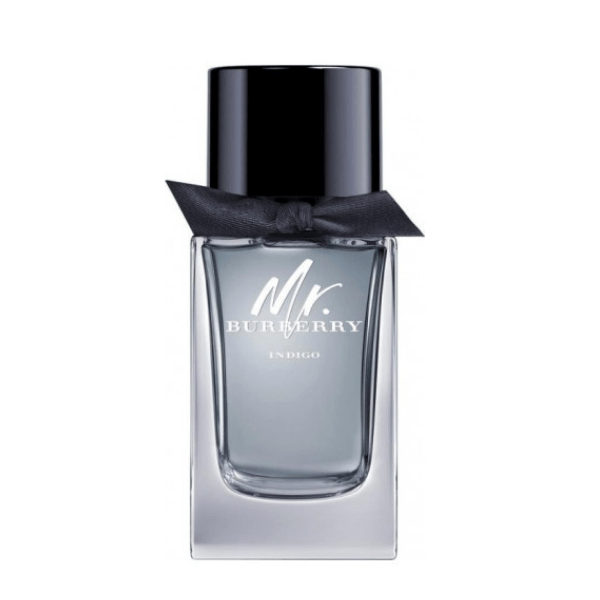 Burberry Mr Burberry Indigo Men Edt 100ml