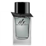 Burberry Mr Burberry Men Edt 100ml
