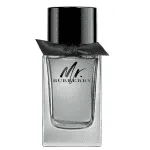 Burberry Mr Burberry Men Edt 100ml