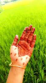 Mehendi By Mimi Organic Mehedi Cone-25gm - Image 5