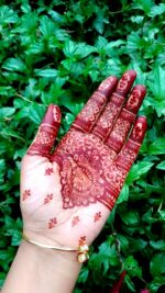 Mehendi By Mimi Organic Mehedi Cone-25gm - Image 6