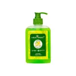 Nature Beauty Lemon Hand Wash-  250ml